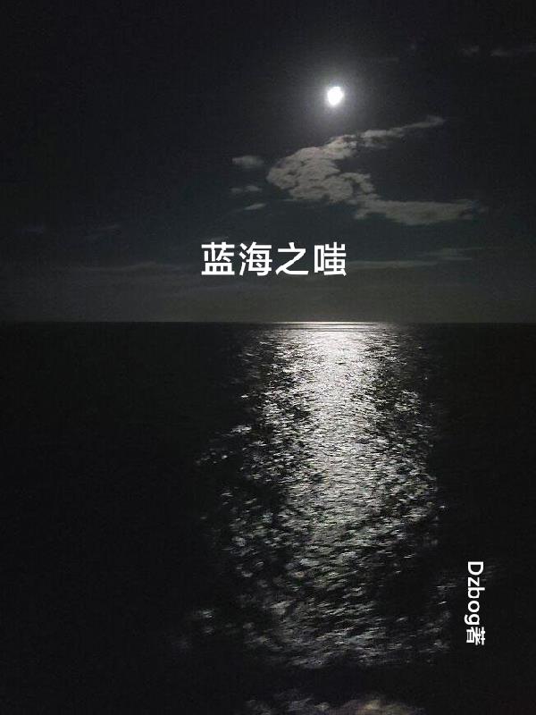 蓝海之夜